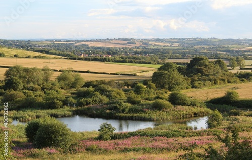 summer landscape with a lake