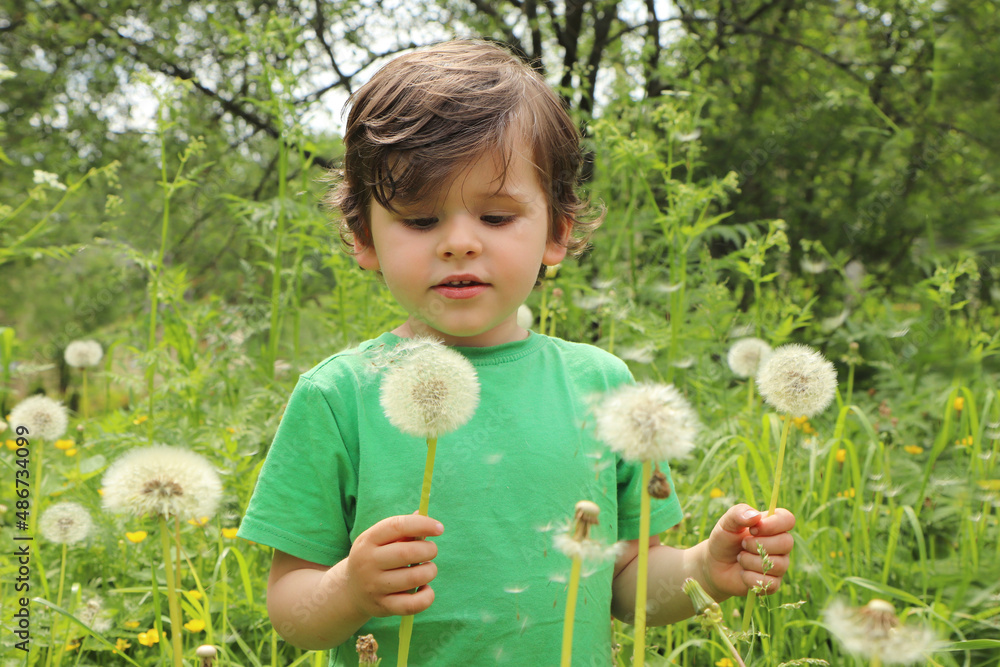 child blowing bubbles child blowing bubbles
