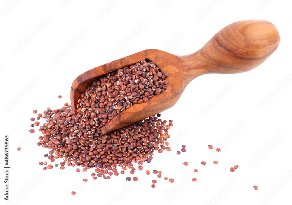Red quinoa seeds in wooden scoop, isolated on white background. Pile of raw kinwa. Red quinoa seeds in wooden scoop, isolated on white background. Pile of raw kinwa.