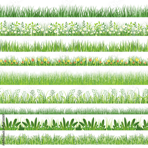 Grass pattern. Seamless horizontal print with cartoon weeds and grass with flowers. Vector texture