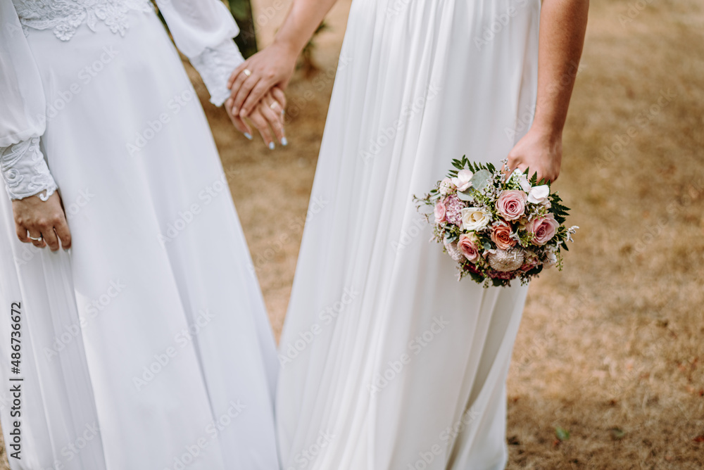 israeli lesbian bridal couple on a wedding day, two jewish women same sex couple marriage. israeli lesbian bridal couple on a wedding day, two jewish women same sex couple marriage.
