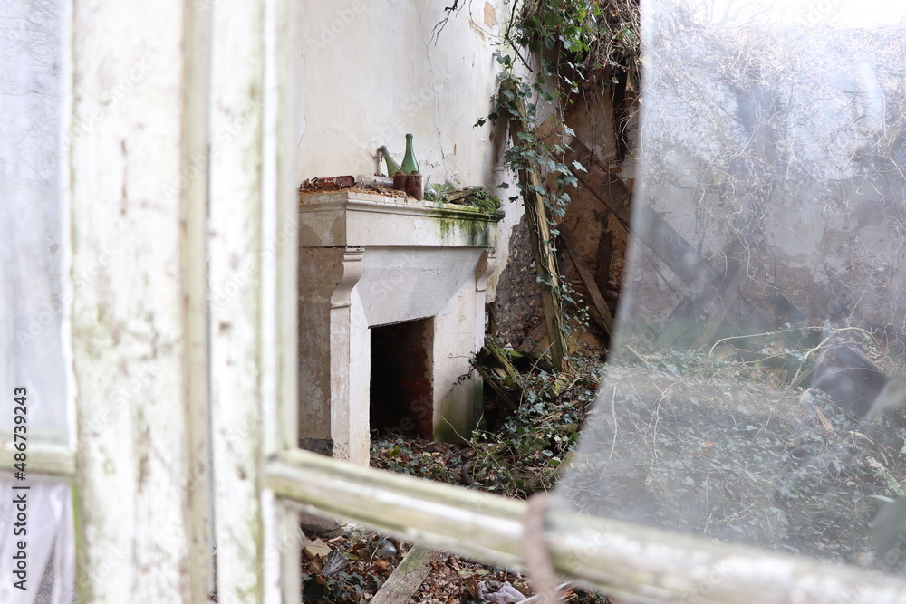Cheminée végétale
La nature reprend ses droits; maison en ruine. Cheminée végétale
La nature reprend ses droits; maison en ruine.