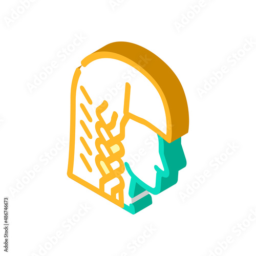 braiding hair isometric icon vector. braiding hair sign. isolated symbol illustration