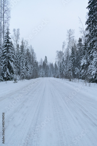 snow covered road © Богдан Богославский