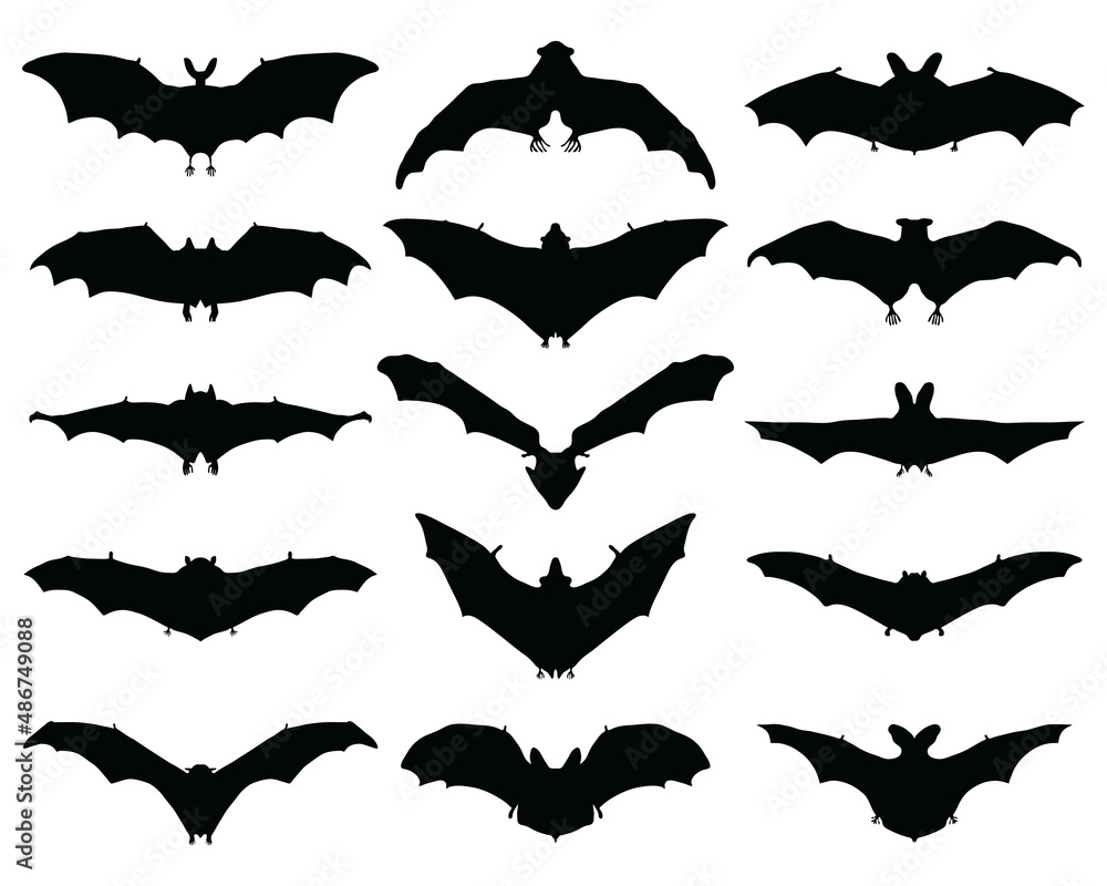 Naklejka premium Black silhouettes of different bats on a white background