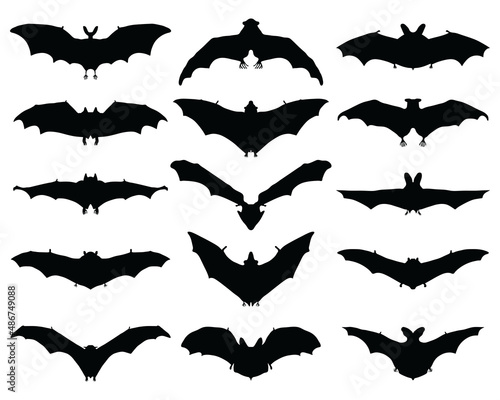 Black silhouettes of different bats on a white background