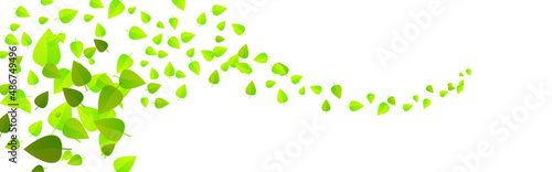 Green flying leaves on long white banner. Leaf falling. Wave foliage ornament. Ecology, eco, organic design element. Cosmetic pattern border. Fresh tea background. Beauty product. Vector illustration
