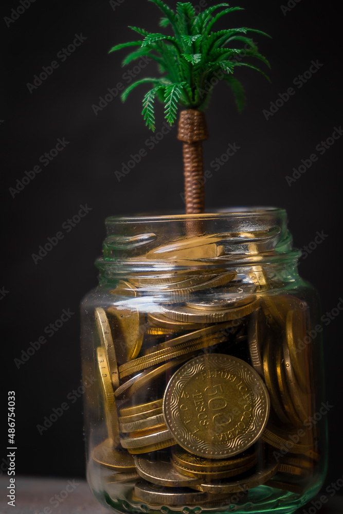 Coin in a glass jar on black background
Coin in a glass jar on black background