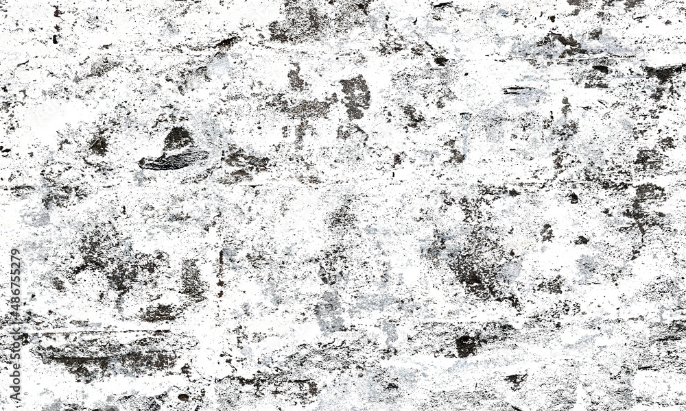 Obraz premium sumisumi220213