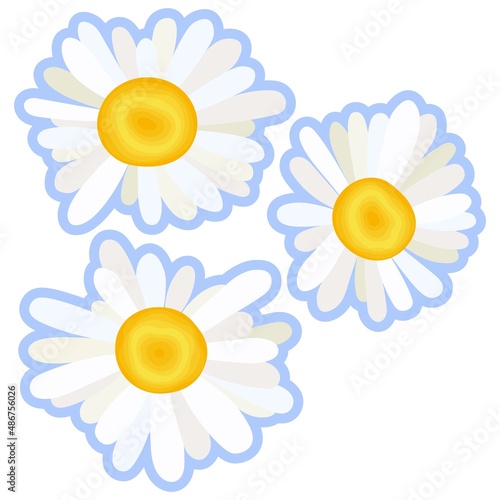Chamomile flowers vector set. Large flower heads with blue border for sticker. 