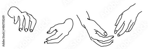 Woman icons collection line. Hand Collection - Vector Illustration of Female Hands of Different Gestures