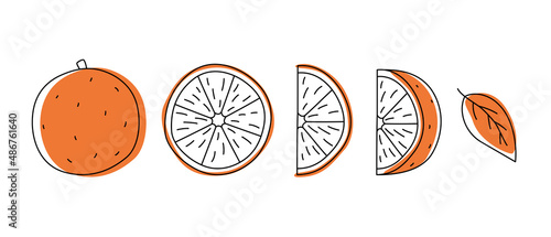 Doodle orange outline with spots. Whole, pieces, and leaves.