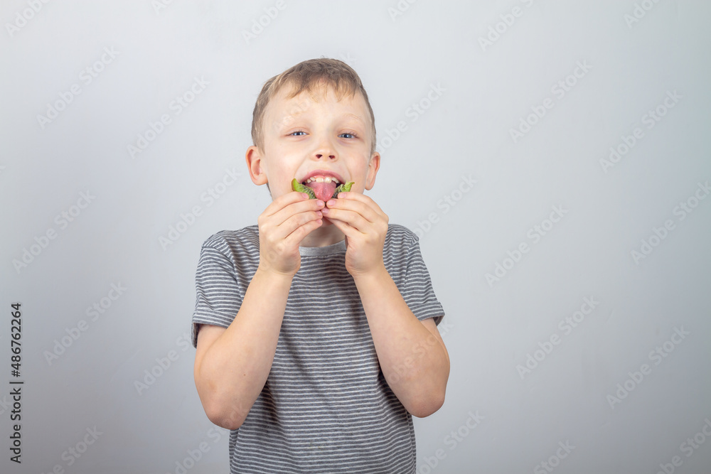 A caucasian boy eats a green kiwi fruit and laughs and smiles on a gray background A caucasian boy eats a green kiwi fruit and laughs and smiles on a gray background
