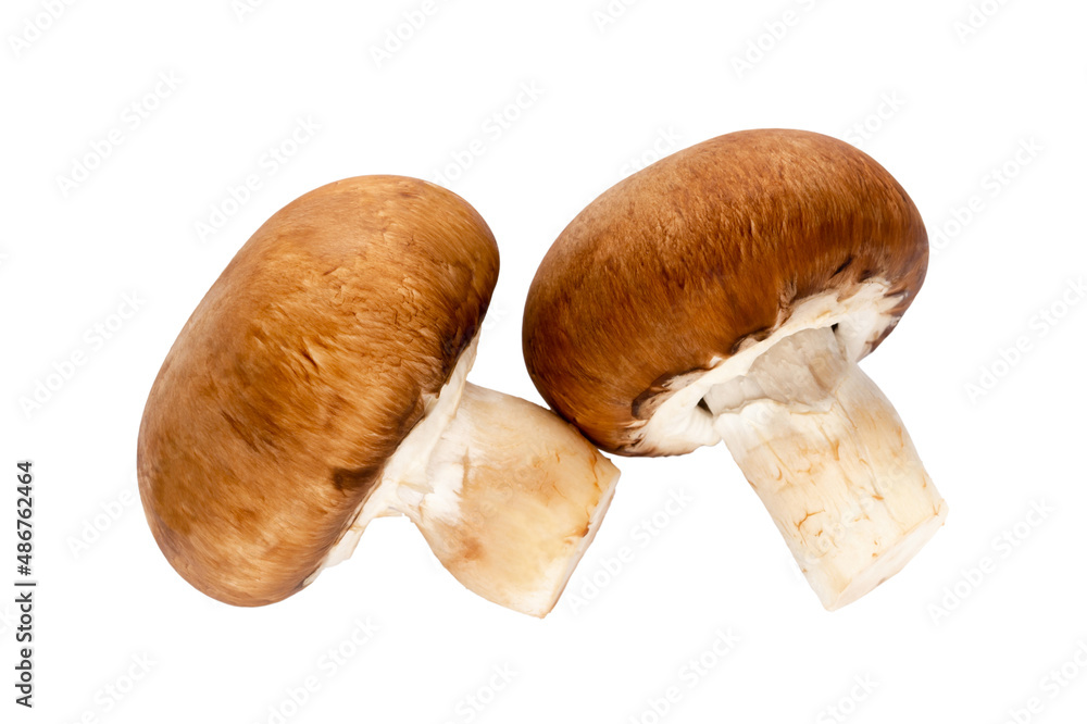Fresh champignon mushrooms isolated on white. Fresh champignon mushrooms isolated on white.