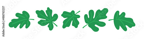 Fig leaves set. Tropical leaves. Vector flat illustration isolated on white.