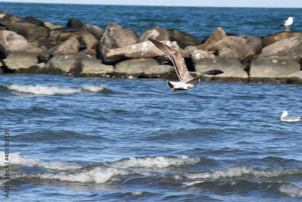 Fototapeta premium sulla spiaggia a Porto Garibaldi Ferrara