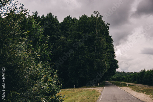 road in the forest