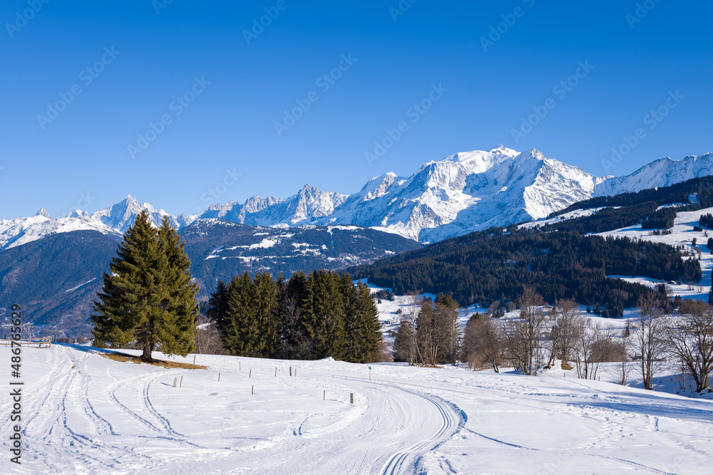 A path in front of the Mont Blanc massif in Europe, France, Rhone Alpes, Savoie, Alps, in winter, on a sunny day.
