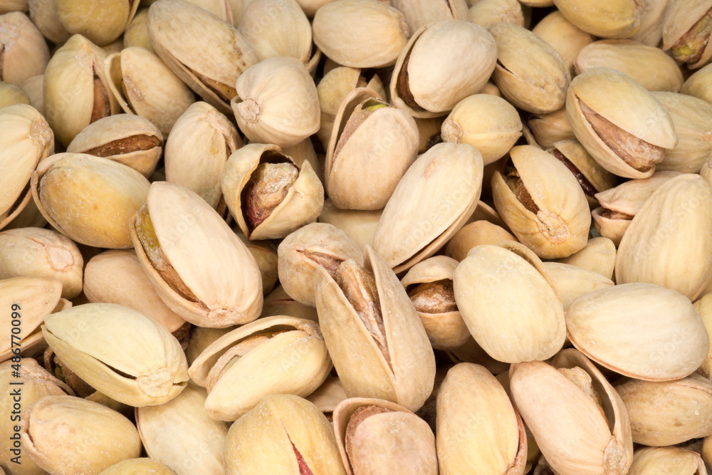 Roasted and salted Pistachio in shell, background image