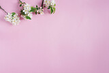 Minimalistic concept. Branches of an apple tree with white flowers on a pink background. Creative lifestyle, spring concept. Flat lay, top view.