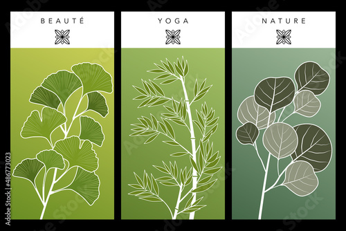 Série de 3 flyers, sur le thème de la nature décoré de branches de ginkgo, bambou et eucalyptus.