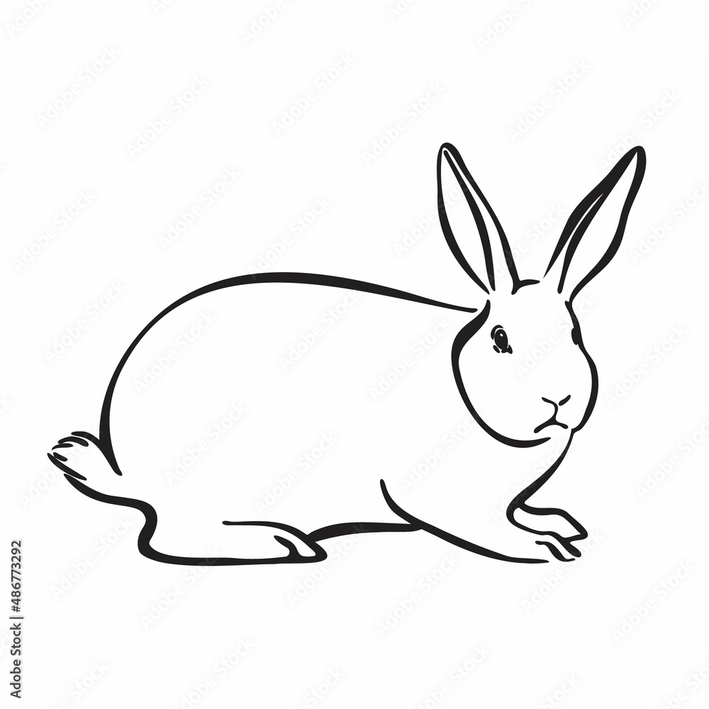 Obraz premium Hand drawn rabbit, graphic hare illustration. Animal isolated on white background. Easter day cute symbol