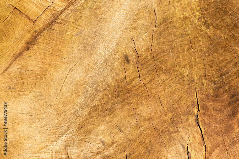 Obraz premium prawdziwe drewniane tło z deski brązowej 