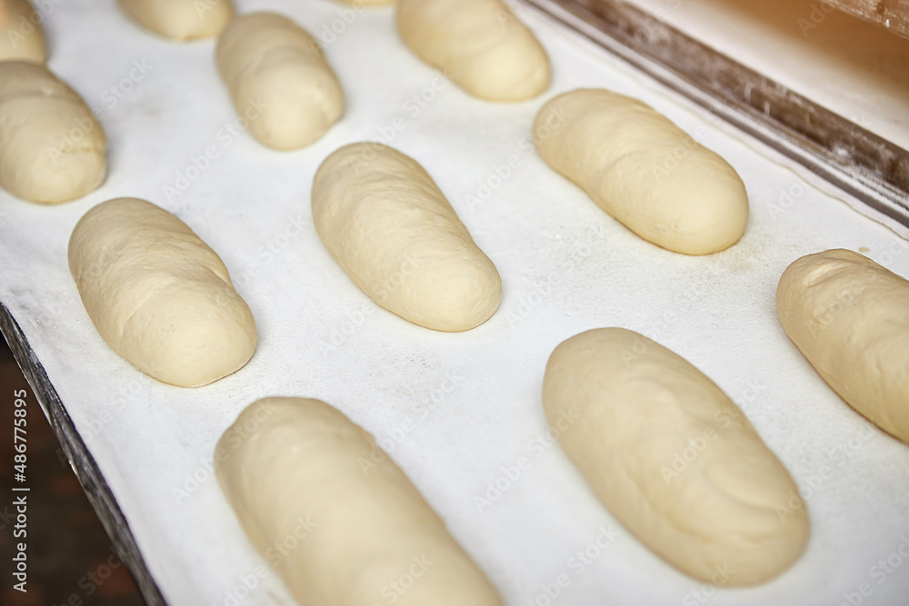 Raw dough bread on a oven-tray before baking in an oven at the manufacturing Raw dough bread on a oven-tray before baking in an oven at the manufacturing