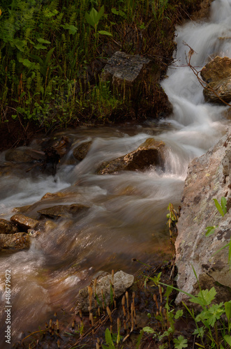 Kebler pass stream in the forest