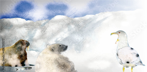 Eisbär, Walross, Albatross, Illustration