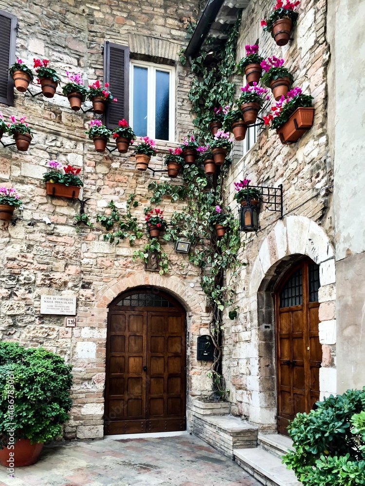 Street view of medieval village Assisi, Umbria, Italy. Facade of old house covered with geranium in pots. Medieval town street view. Fragment of stone facade, covered with ivy, decorated with geranium
