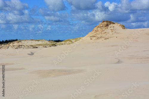 Moving sand dunes in Slowinski National Park near Leba in Northern Poland