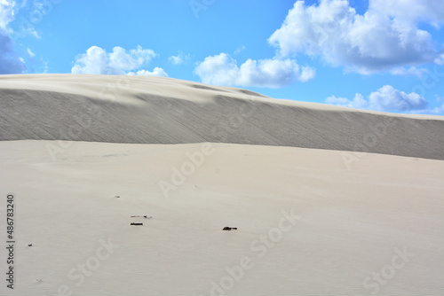 Fototapeta Naklejka Na Ścianę i Meble -  Moving sand dunes in Slowinski National Park near Leba in Northern Poland