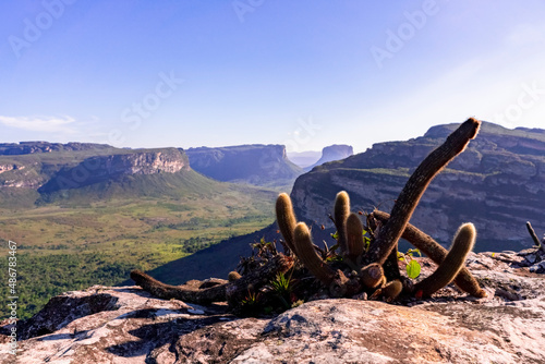 View over the canyon and the rock munuments of Chapada Diamantina with cactus 