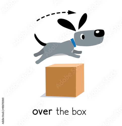 Preposition of movement. Dog jumps over the box