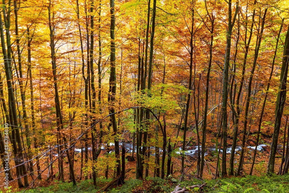 Fototapeta premium Beautiful Waterfall Shipot close-up in the autumn forest