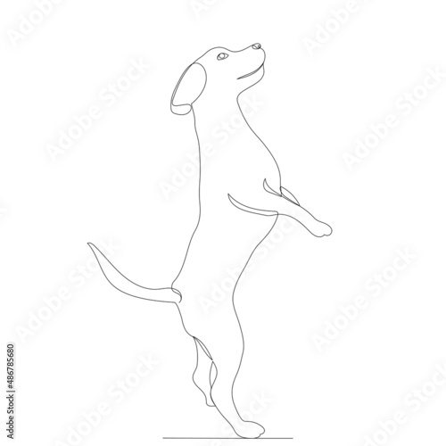 dog one line outline  sketch  vector