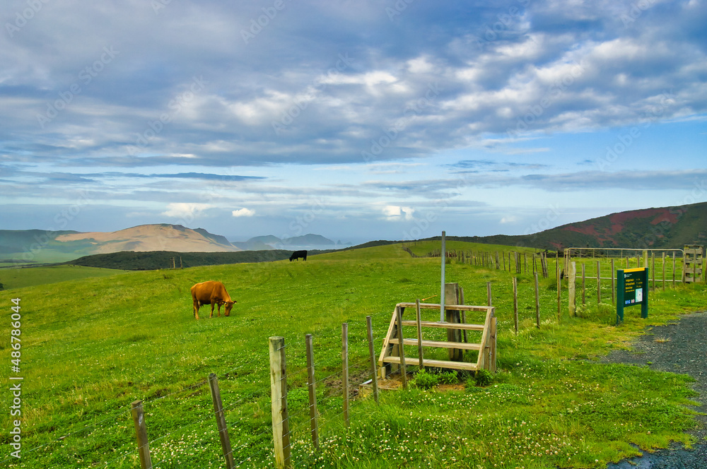 The starting point, in green pastures, of the walking track to Cape Maria van Diemen, in the extreme north of Northland, New Zealand, close to Cape Reinga. 
