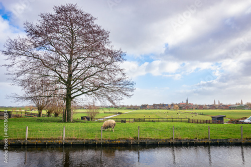 Idyllic polder landscape near the village of Reeuwijk, close to Gouda, Netherlands.