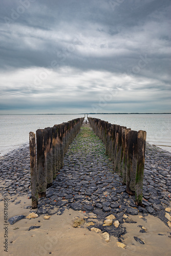 Pier with wooden posts at the North Sea coast in the province of Zeeland  The Netherlands