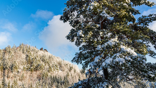 Sokolik peak in winter scenery photo