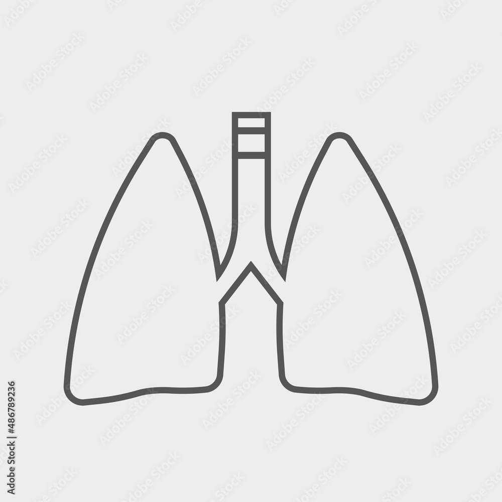 Lungs vector icon illustration sign Lungs vector icon illustration sign