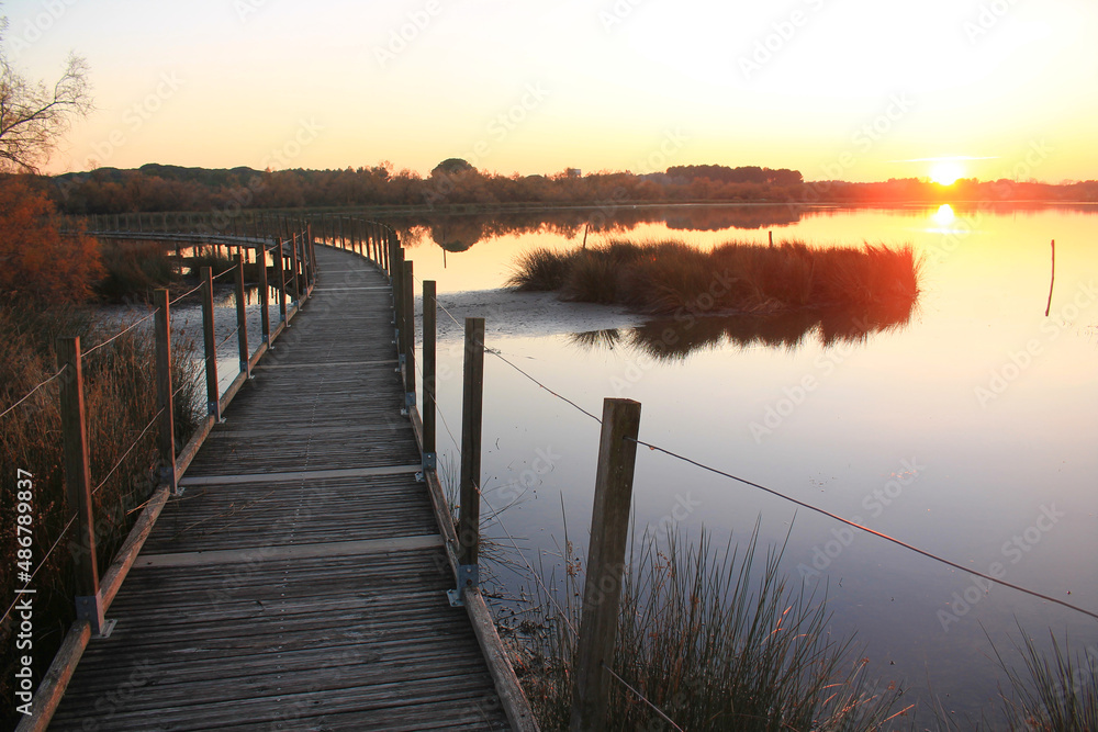 Wooden pontoon and Camargue marshes at sunset