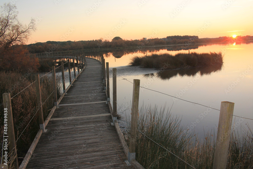 Wooden pontoon and Camargue marshes at sunset Wooden pontoon and Camargue marshes at sunset