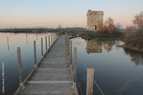 Carbonniere tower  stone  stone gate  fortification  Aigues Mortes  Camargue  Gard  Occitanie  walled town  wetlands  medieval construction  medieval architecture  france 