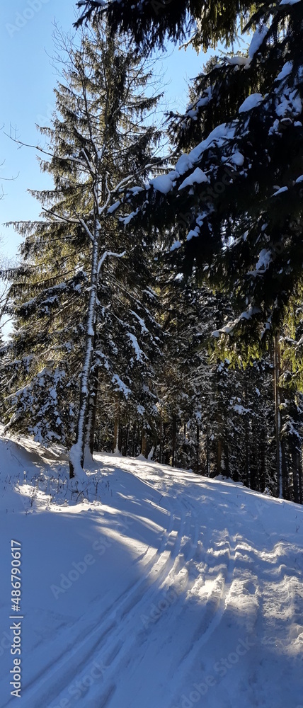 Obraz premium Zima
