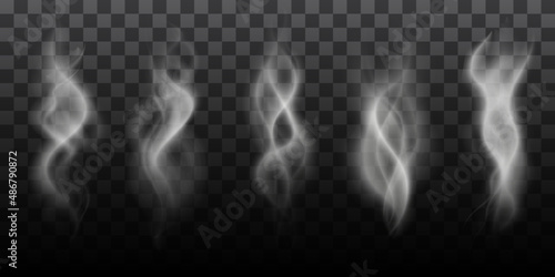 Steam smoke shapes. Smoking vapor streams, steaming vaping ring and vapor waves translucent realistic PNG
