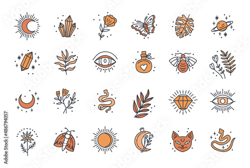 Witch magic design vector elements set. Witchcraft symbols. Ideal for tattoo, textile, cards, mystery. Hand drawn collection, doodle, magician sketch.