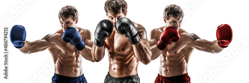 Creative collage of professional boxer who training isolated over white background. Sport concept 