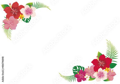 ハイビスカスのコーナーフレーム